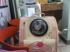 -纳吉亚猫专科动物医院博雅分院