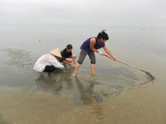 android_upload_pic-北海金海湾红树林生态旅游区