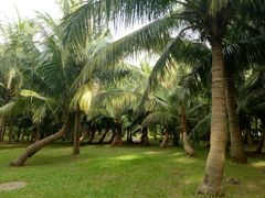 -白沙门生态公园