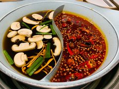 -青瓷火锅料理(西单大悦城店)