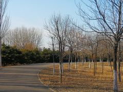 -东郊湿地公园