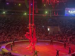 -俄罗斯国家大马戏团