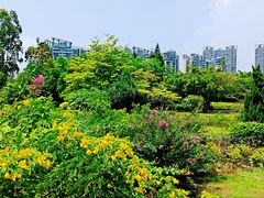 -南沙蒲洲花园