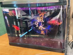 -BOEYAE宝研美肤造型