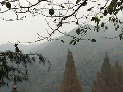-九华山风景区月身宝殿
