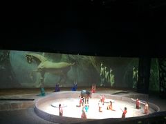 -cavalia·舞马
