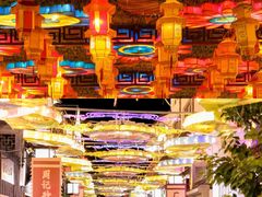 -东台西溪天仙缘景区