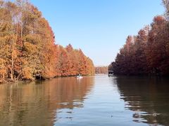 -上海海湾国家森林公园