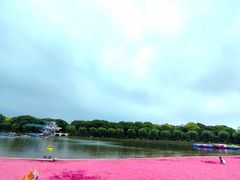 -上海鲜花港