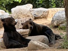 -北京野生动物园