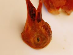 -北京厨房(西安SKP店)