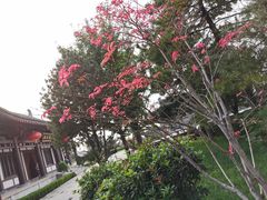 -清凉寺