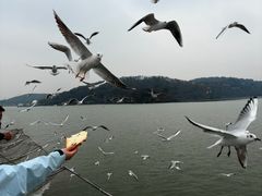-无锡动物园·太湖欢乐园