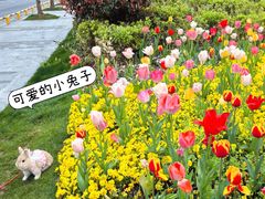 -苏州上方山国家森林公园