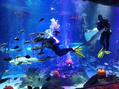 -沈阳海洋探索中心