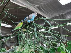 -南宫五洲植物乐园