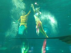 -福州罗源湾海洋世界旅游区