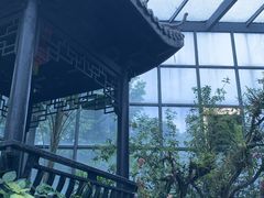 -东莞植物园
