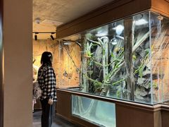 -帕帕拉兹宠物(亚洲旗舰店)