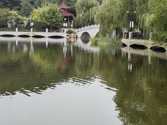 -大连植物园