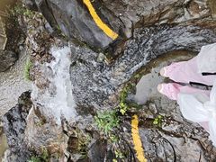 -刘伯温故里景区百丈漈