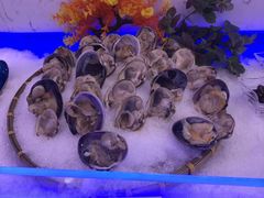 -澜悦港海鲜体验主题餐厅