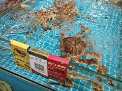 -三亚火车头万人海鲜广场