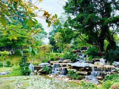 -东莞植物园