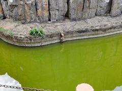-海南热带野生动植物园