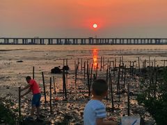 -宝安西湾红树林湿地公园