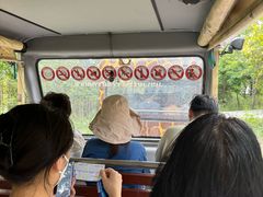 -清迈夜间动物园