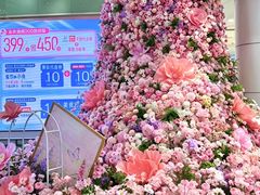 -永旺梦乐城(金银潭店)