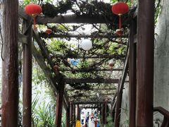 -陈麻婆豆腐总店