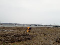 -兴旺渔家