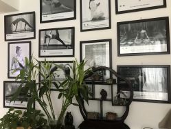 点击看大图 -龙蝉瑜伽