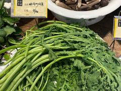 -金穗-老荣成·荣成菜