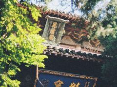 -洛阳白马寺
