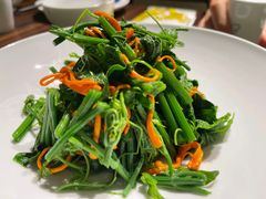 黄瓜苗-东莱海上(长宁来福士店)