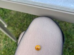 -西昌邛海宾馆
