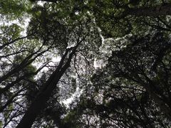 -贵州省植物园