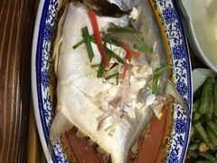 -新繁阳睦邻长者食堂(民星路店)