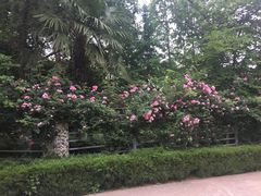 -雨花台烈士纪念馆