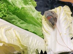 -呷哺呷哺 黄金牧场 (新中关购物中心店)