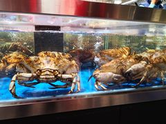 皇帝蟹-盒马X会员店(王府井奥莱UP TOWN店)