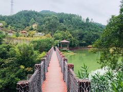 -广州白江湖森林公园