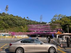 -深圳仙湖植物园