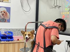 -小呆的宠物店·宠物售卖·宠物寄养(城西店)