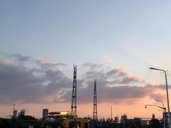 -鹦鹉洲湿地公园