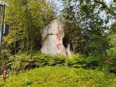 -习家池