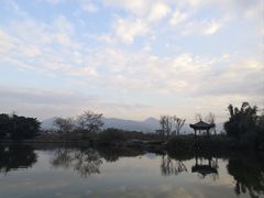 -三垟湿地